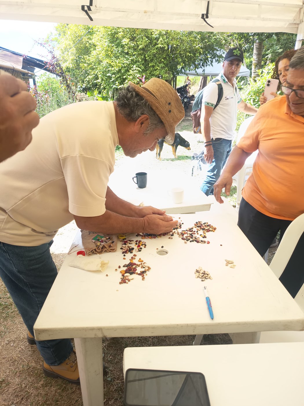 Encuentro de escuela y salud en el territorio